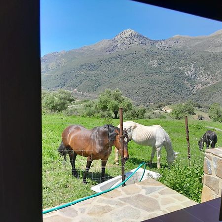 El Higueron Villa Jimera de Líbar Buitenkant foto